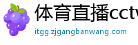 体育直播cctv5+直播在线观看